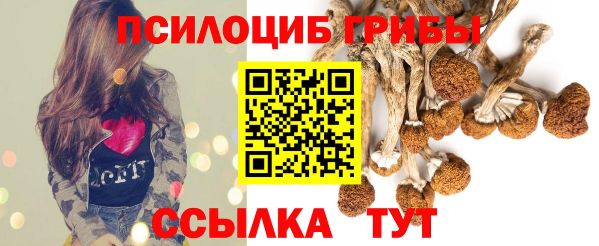 Тулун  Псилоцибиновые грибы Psilocybe  Псилоцибиновые грибы ЛСД  Вход с VPN 